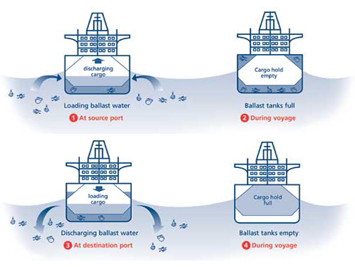 「船舶壓艙水及沉積物管理國際公約」(壓艙水公約)